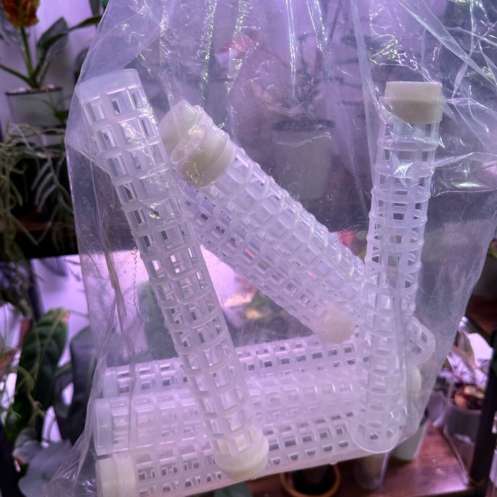 Moss Poles - RESERVED